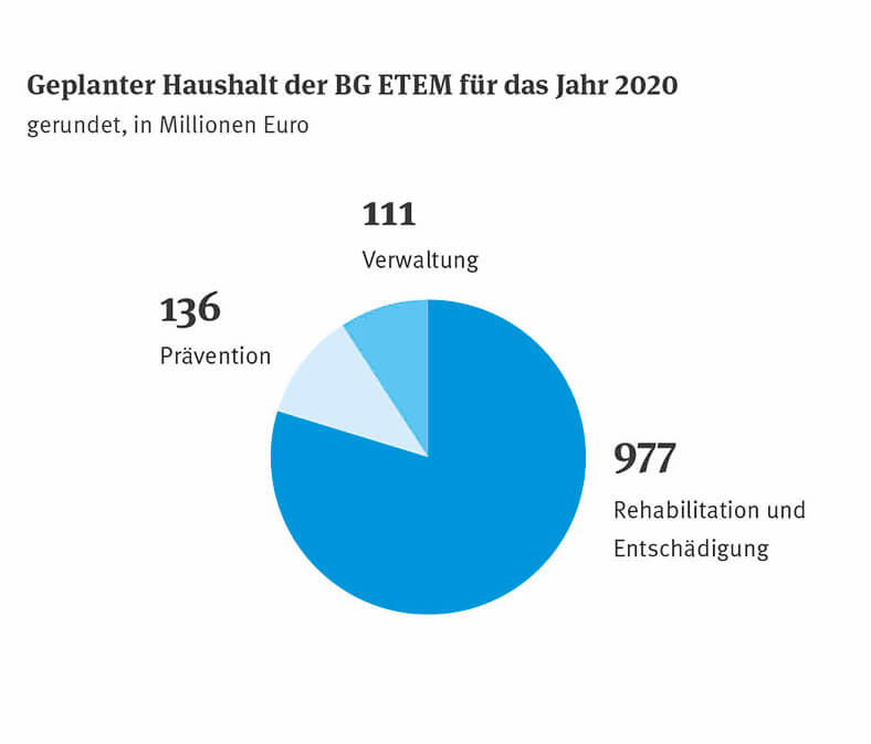 Die Grafik zeigt ein Krisdiagramm in Blautönen mit den Anteilen an den geplanten Ausgaben der BG ETEM in Millionen Euro.