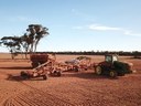 Rehabiliation: Farm in Australien