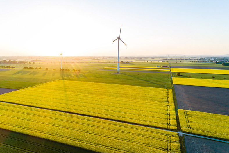 Der zu erwartende Aufschwung im Jahr 2021 sollte dafür genutzt werden, erneuerbare Energien weiter nach vorne zu bringen, so der Bundesverband der Energie- und Wasserwirtschaft e. V. (BDEW). Windrad inmitten von gelb blühenden Rapsfeldern in der Nachmittagssonne.