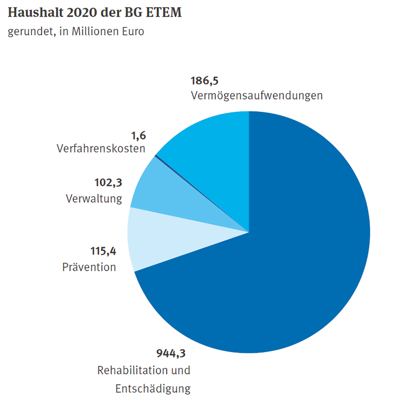 Kuchendiagramm in Blautönen mit Beschriftung Ziffern und Text außen, Anteile an den Ausgaben 2020 der BG ETEM.
