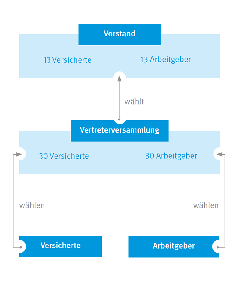 Vertreterversammlung: Grafik Organisation