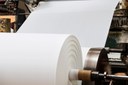 Branchenaussichten: Papierrolle